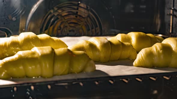 Homemade Crescent Rolls - Tray Of Croissants Baked In The Oven. - hyperlapse, close up alt