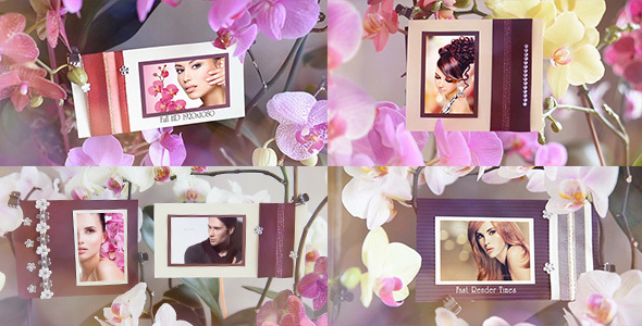 Photo Gallery in - VideoHive 15146384