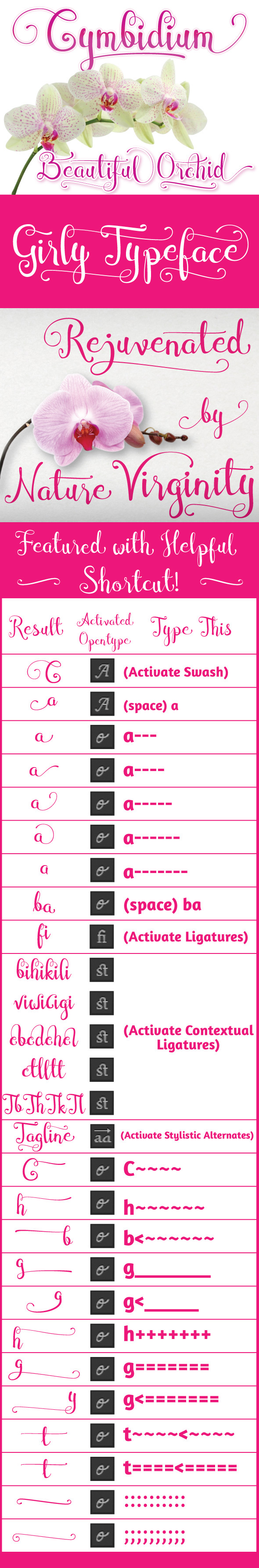 Cymbidium Script - Cursive Script
