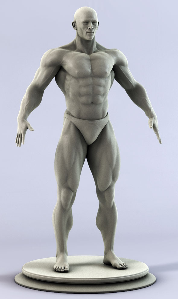 muscular man zbrush
