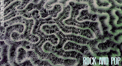 Rock and Pop Collection