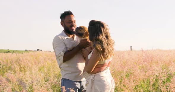 French bulldog being spoiled by the owners, a young and passionate couple waiting for a baby. alt