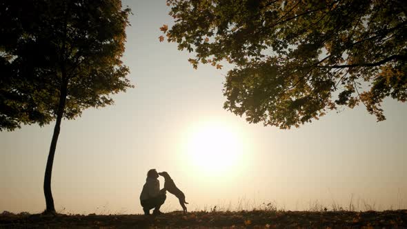 Against the Background of the Orange Sunset Sky Silhouettes of Woman Training and Playing with Her alt