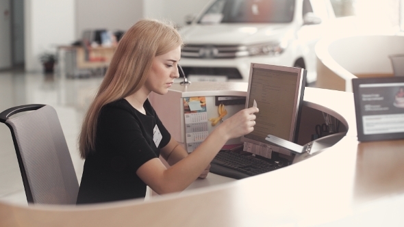 Car Rental Assistant , Stock Footage | VideoHive