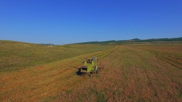 Harvester Combine Working On Ripe Field