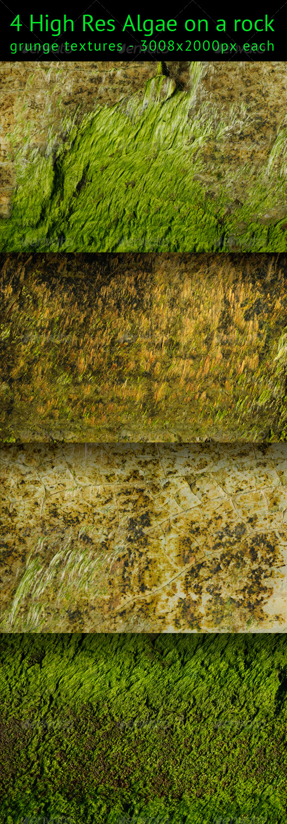 Algae on a rock texture pack - Nature Textures
