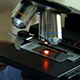 Examining Sample with Microscope in Microbiology Lab - VideoHive Item for Sale