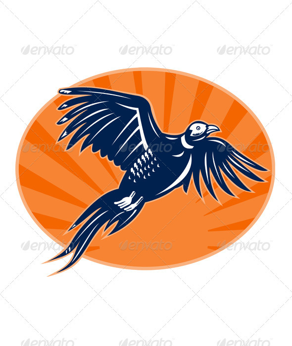 Pheasant Bird Flying Retro Style