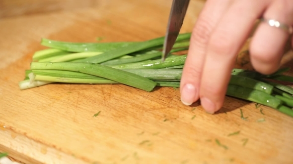 Cutting Green Onions alt