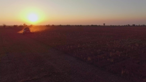 Farm Combine Harvesting Buckwheat At Sunset