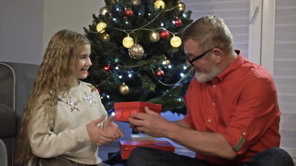 Grandfather and Granddaughter Near the Christmas Tree. The Girl Opens the Gift and Rejoices. Happy alt