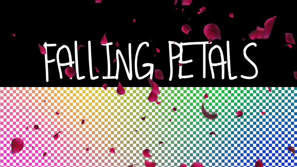 Falling Petals