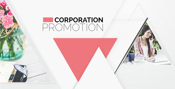 Corporation Promotion