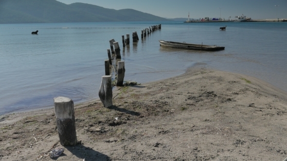 Old Wooden Berth Stumps Into The Sandy Sea Floor With New Port on The Background.