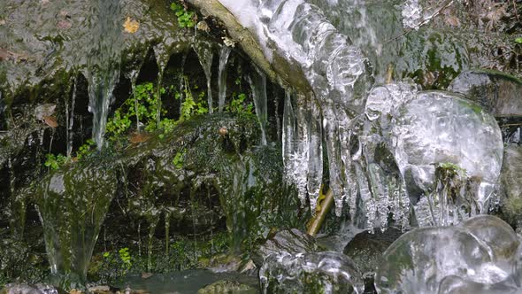 Stream of Water in the Forest with Frozen Branch Covered By Icicles