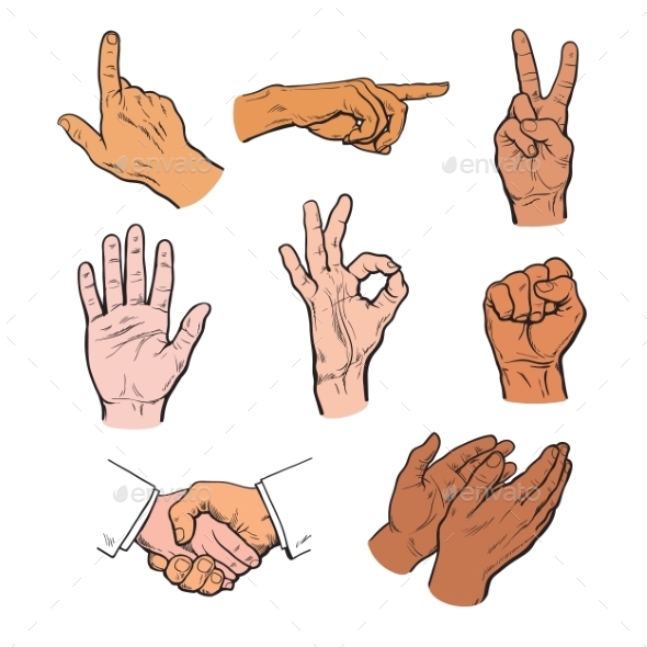 Set of Hands and Fingers - People Characters