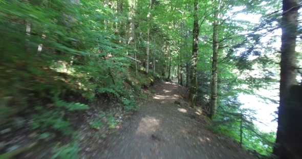 Footpath In Forest Around The Lake alt