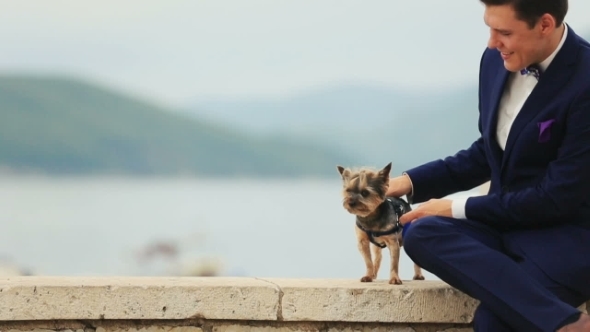 Handsome Groom Petting Little Cute Dog Terrier Montenegro, Budva