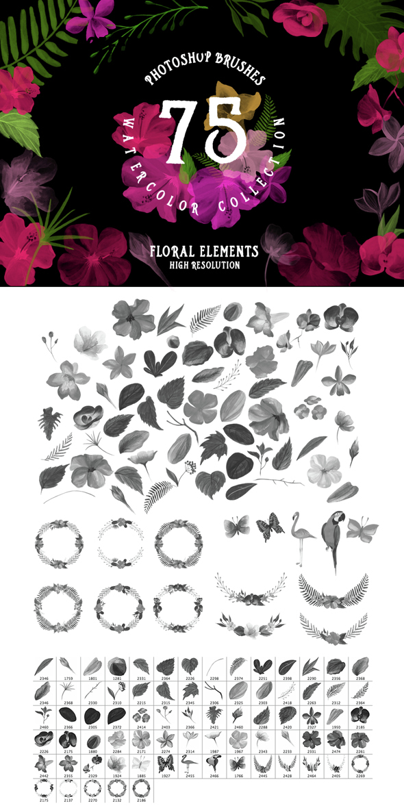 75 Photoshop Brushes Watercolor Collection - Flourishes Brushes