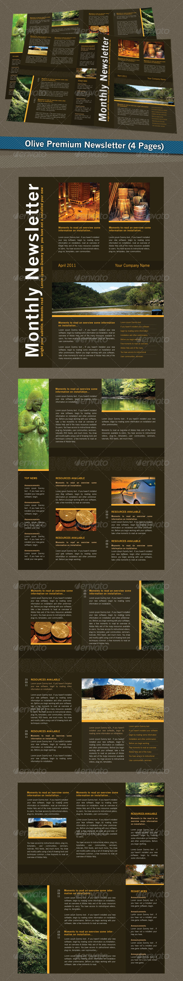 Olive Premium Newsletter - Newsletters Print Templates