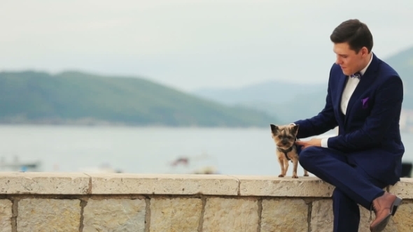 Handsome Groom Petting Little Cute Dog Terrier Montenegro, Budva