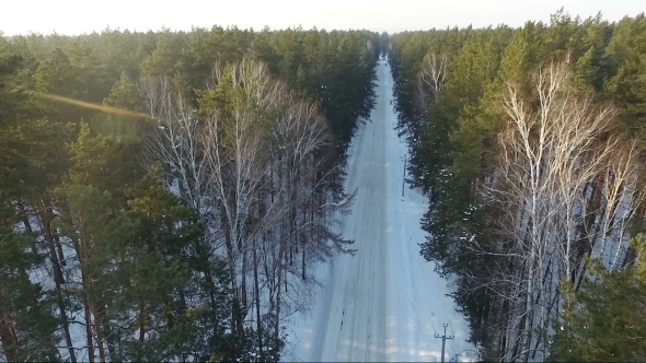 Flying Over The Forest Road. Winter