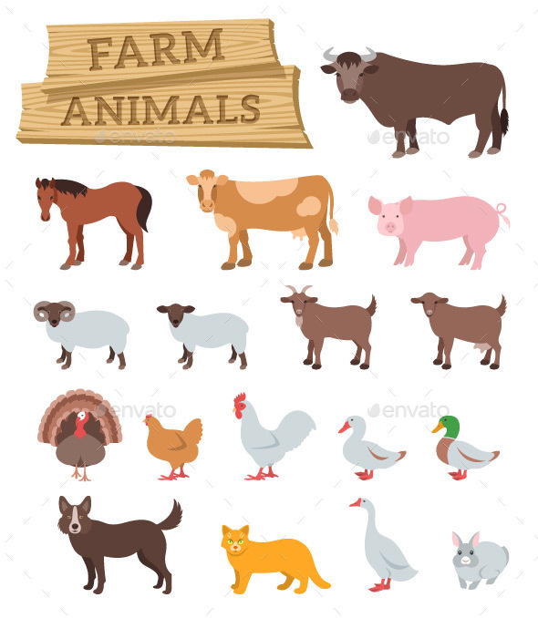 Domestic Farm Animals Flat Illustrations - Animals Characters
