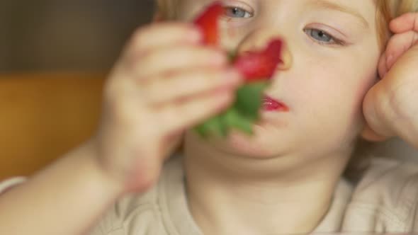 Young Boy Enjoying A Ripe Strawberry