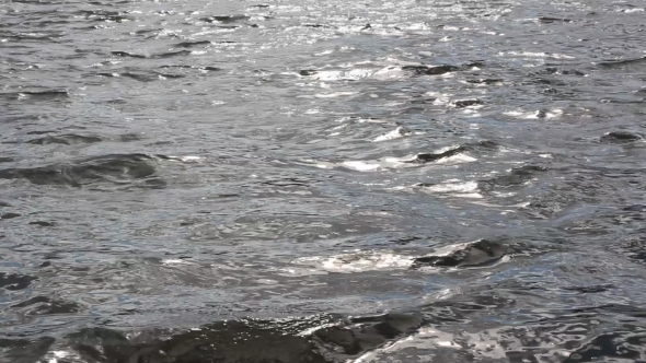 The Sea And The Waves