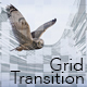 Grid Transition Mattes - VideoHive Item for Sale