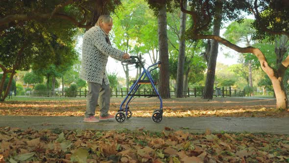 Grandmother Strolls with Walking Frame Along Park Road alt