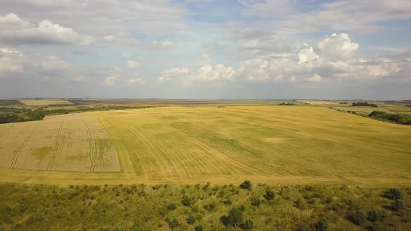 Aerial rural landscape with yellow patched agriculture fields and blue sky with white clouds. alt
