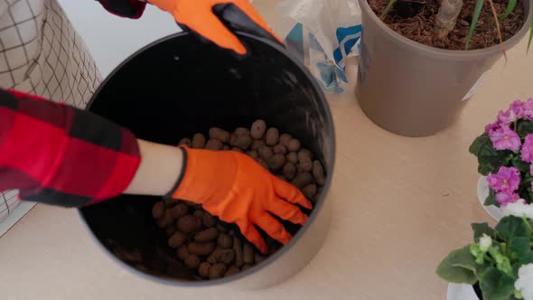 Female Hands in Gloves Level Expanded Clay in a Flower Pot alt