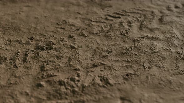Wheel Tracks on Rough Road alt