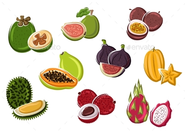 Tropical Fresh Fruits In Cartoon Style - Food Objects