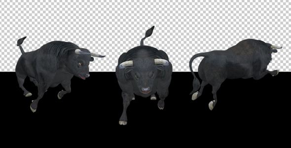 Black Bull - Attack Run - Pack of 3 alt