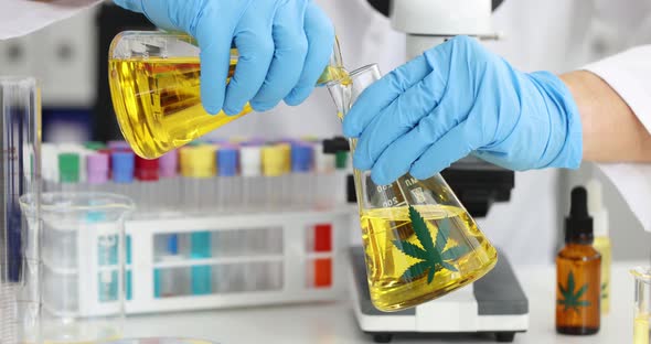 Scientist Chemist Pouring Yellow Liquid Into Flask with Marijuana Oil  Movie alt