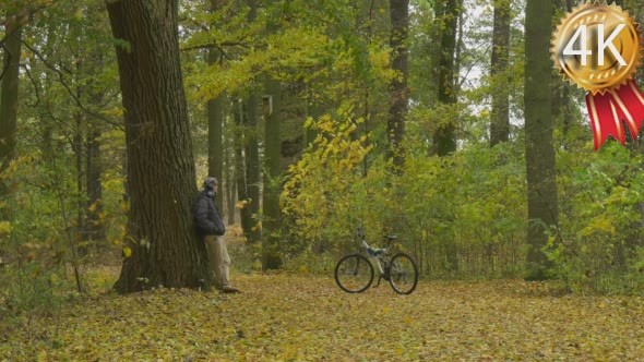 Man With Backpack Stands Leaning on the Big Tree alt