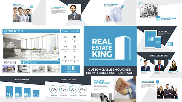 Real Estate King - VideoHive 15213364