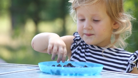 Little Kid Eating Blackberries In Forest In Summer