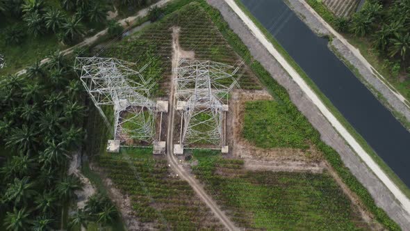Electric pylon top down view near oil palm agriculture alt