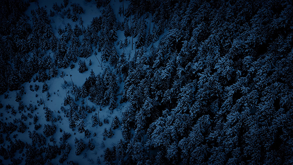 Aerial Above Winter Forest At Night By Rockfordmedia Videohive