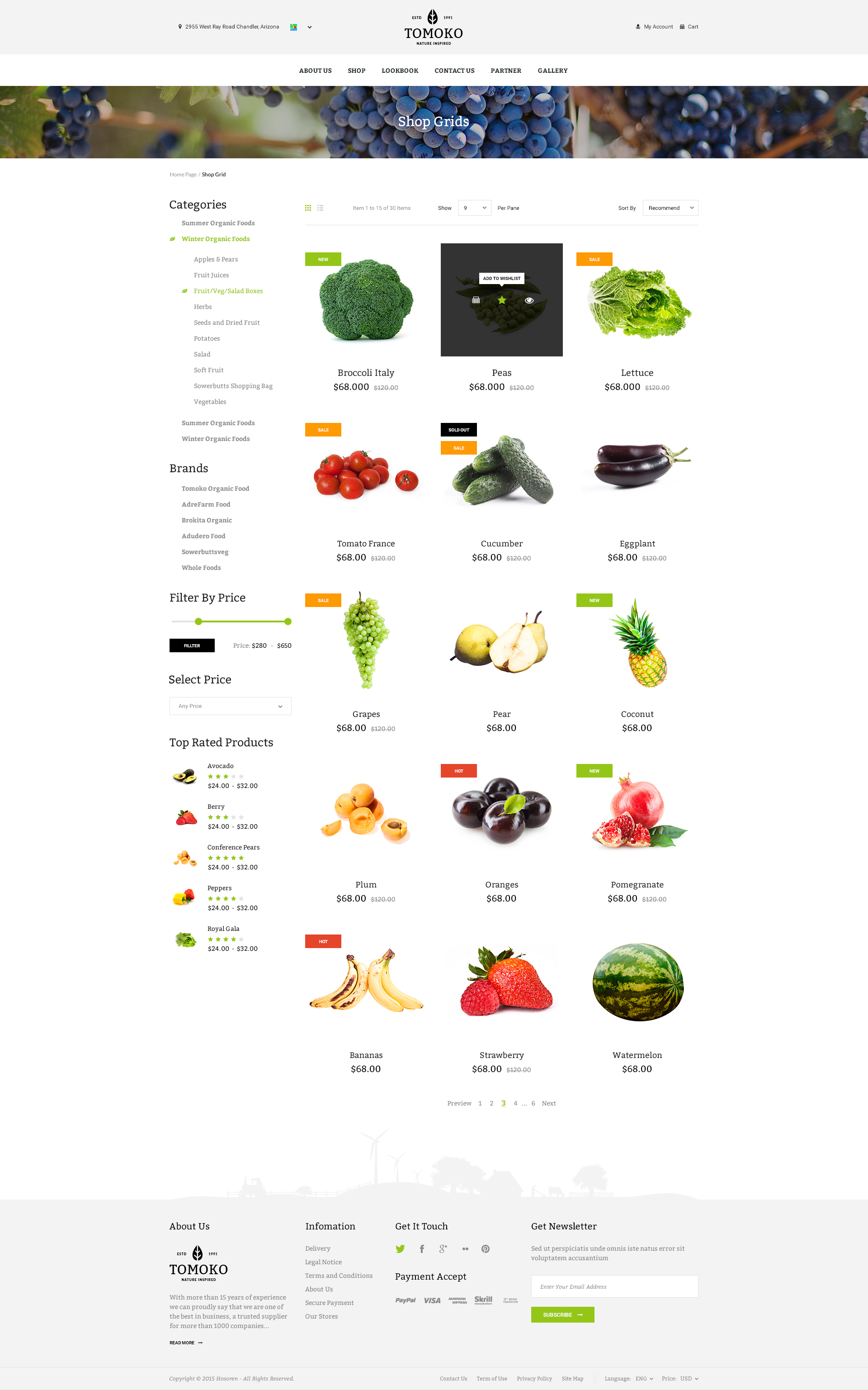 organic food fruit vegetables responsive web store template tomoko website store template