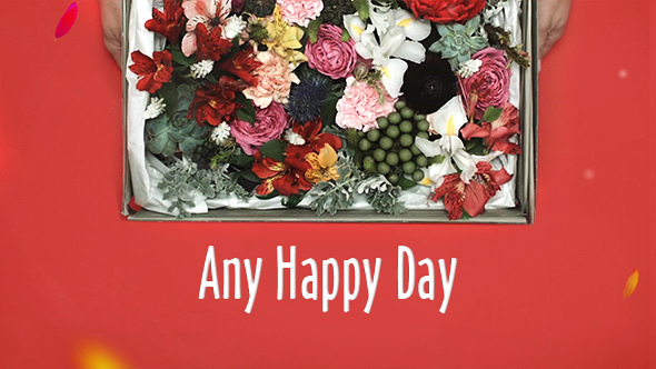 Any Happy Day - VideoHive 15278495
