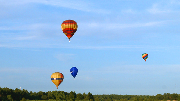 Air Balloons Fly over the Forest in Evening