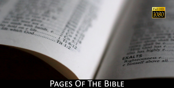 Pages Of The Bible 12 alt