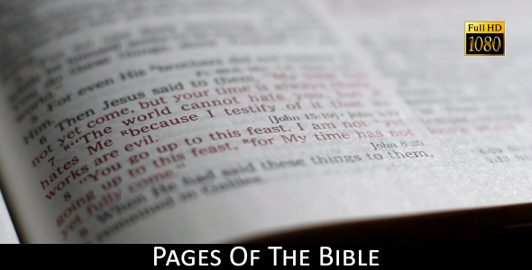 Pages Of The Bible 14 alt