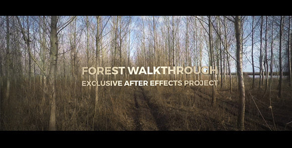 Forest Walkthrough - VideoHive 15292093
