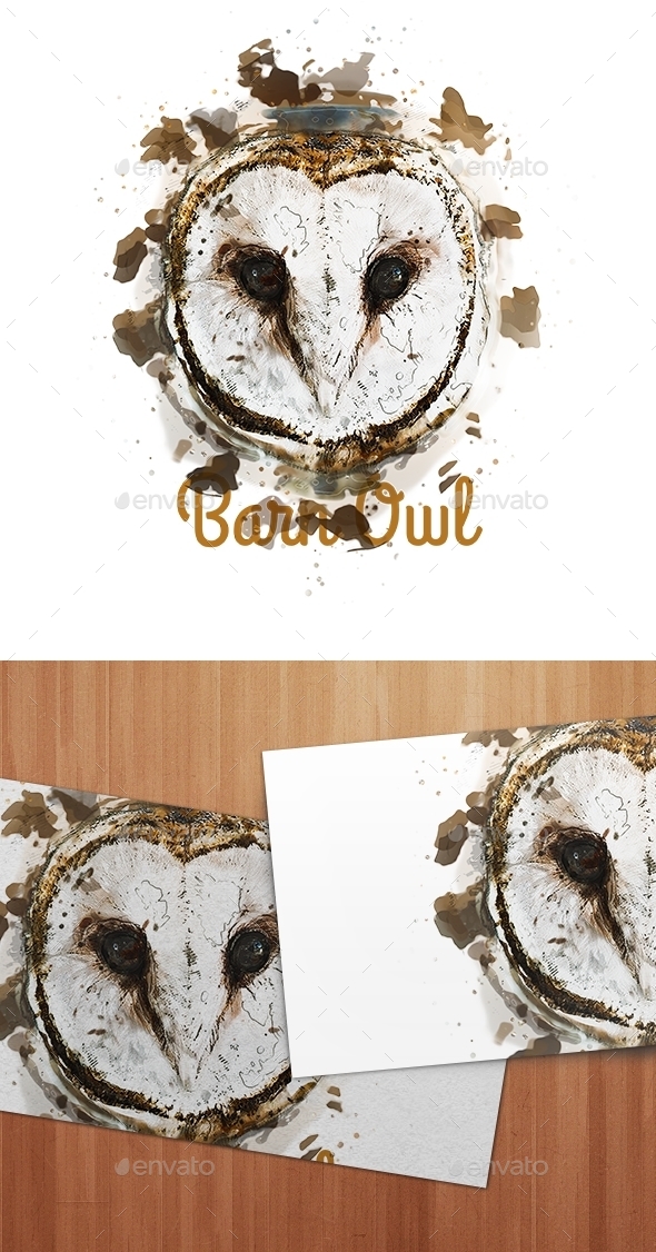 Barn Owl watercolor - Animals Illustrations