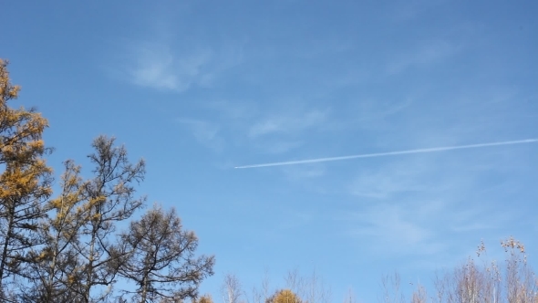 Jet Stream Of Airplane Going  In Blue Sky